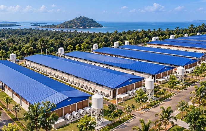 Pulau Bulan Swine Farm